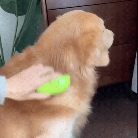 CEPILLO LIMPIADOR A VAPOR PARA MASCOTAS 🐾 | Elimina Pelo, Suciedad y Bacterias — Baño Rápido y Sin Estrés